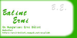 balint erni business card